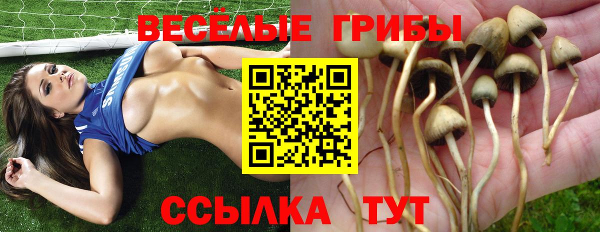 Галлюциногенные грибы Cubensis Азов