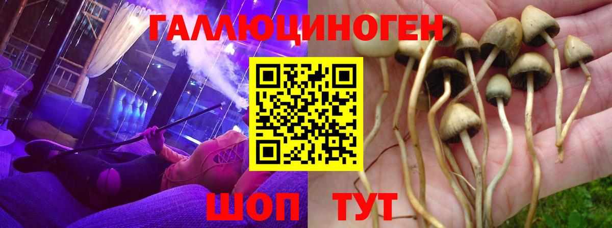 Псилоцибиновые грибы Cubensis  Вход с VPN  Азов 